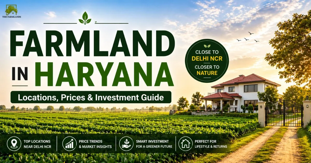 Farmland in Haryana: Locations, Prices & Investment Guide (2026)