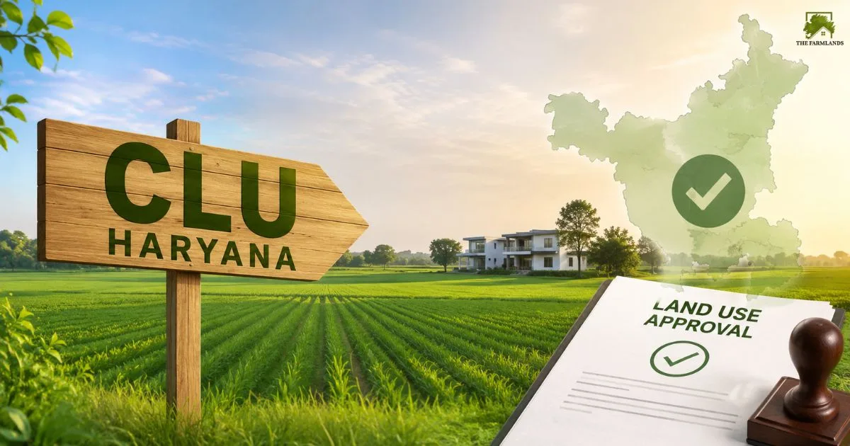 CLU in Haryana Explained: What Every Land Buyer Should Know